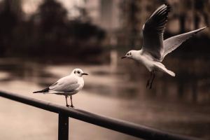 2018-01-22-PHOTO-00000348